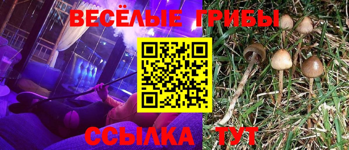 Псилоцибиновые грибы GOLDEN TEACHER Азов