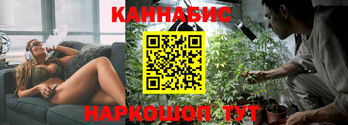 Конопля OG Kush Азов